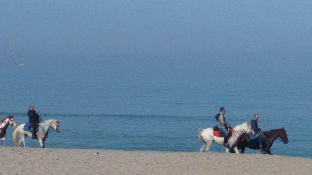 Case Susinna Torretta كاباتشي المظهر الخارجي الصورة